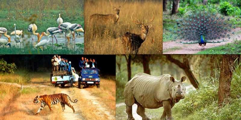 National Parks and Sanctuaries of India Trivia Quiz