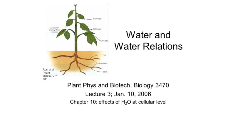 Quiz: Test Your Knowledge About Plant Water Relations