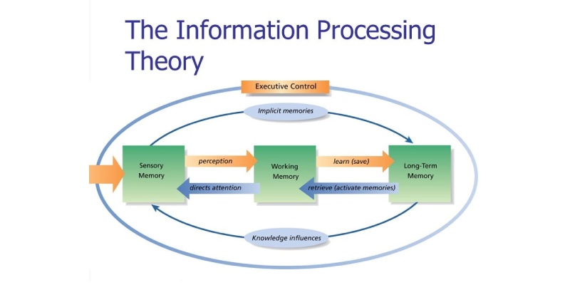 Ultimate Trivia Quiz About Information Processing Theory