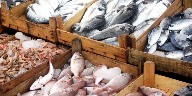 Quiz: Test Your Knowledge About Fish Industry in India Quiz!