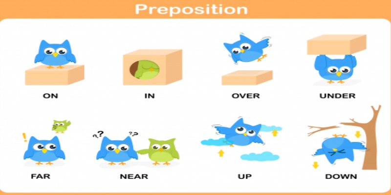 English Grammar Preposition Quiz For 6th Grade Students