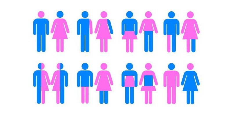 Sexuality am quiz what i Personality Test