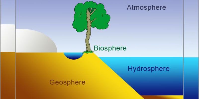 Quiz: How Well Do You Know About Biosphere?