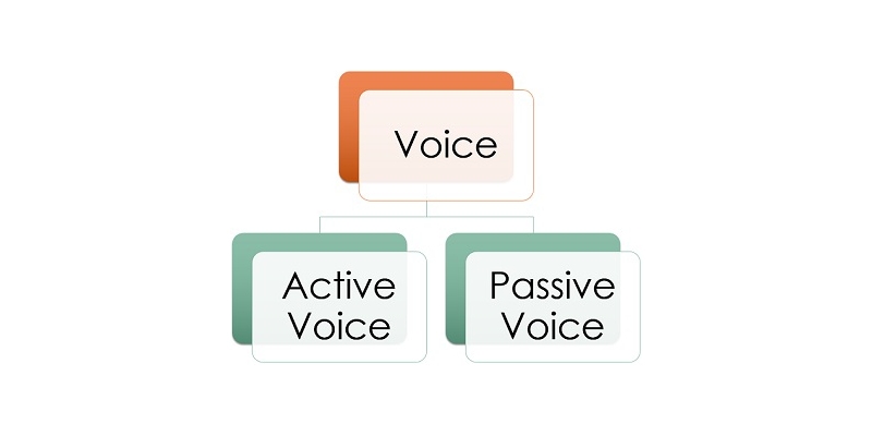 Quiz: Test Your Knowledge About Active and Passive Voice