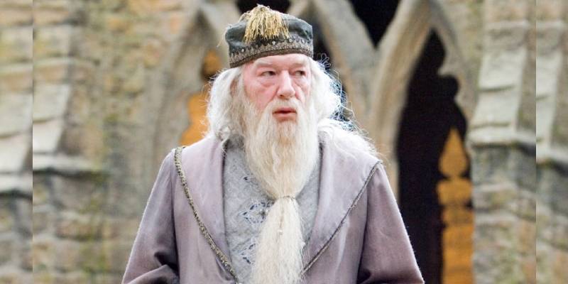 Quiz: What Percent Dumbledore Are You Based On Your Food Preferences?