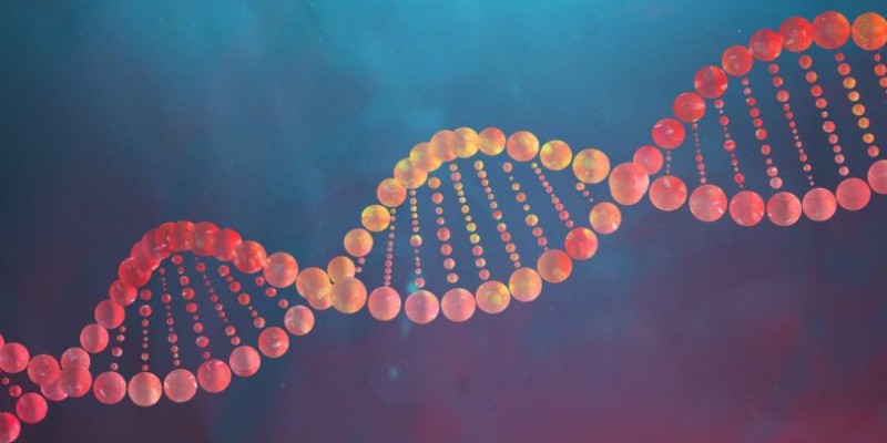 Quiz: How Much You Know About DNA and Its Structure?