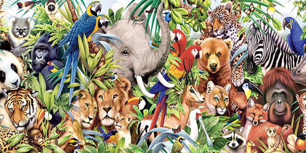 Animal Personality Test: What Animal Are You Quiz - BestFunQuiz Animal Personality Test: What Animal Are You Quiz - BestFunQuiz