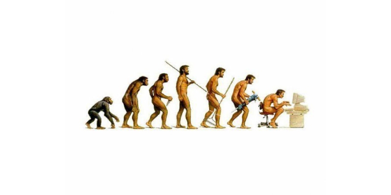 Principles And Theories Of Evolution Quiz: How Much You Know About Principles And Theories Of Evolution?