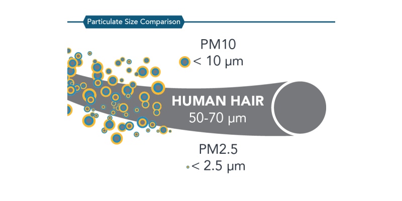 Particulate Mater PM2.5 Trivia Quiz! How Much You Know About PM2.5?