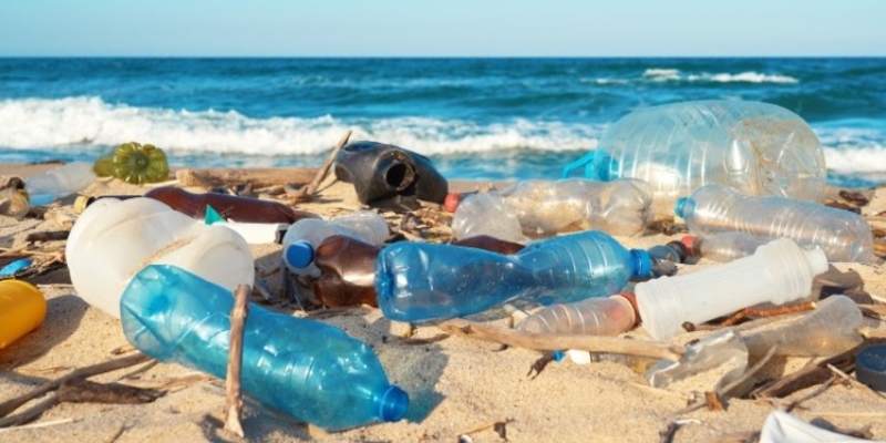 Quiz: The Trivia Facts About Plastic Pollution