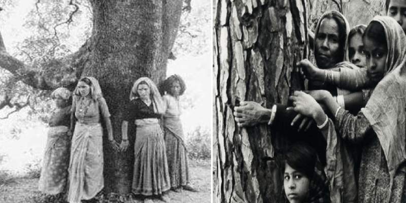 How Much You Know About Chipko Movement Quiz