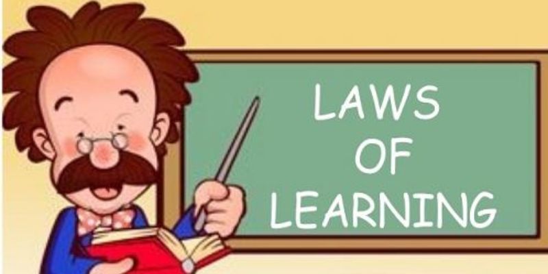 Laws Of Learning Trivia Quiz