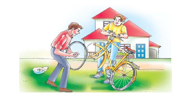 A Bicycle In A Good Repair Chapter Quiz For 7th Grade Student
