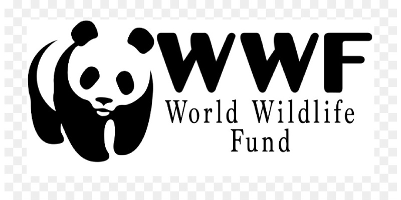 Quiz: How Much You Know About World Wide Fund for Nature?