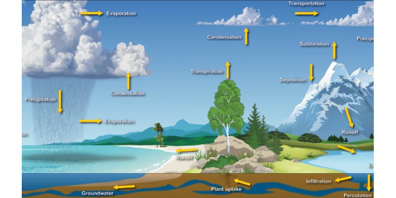 Water Cycle and Weather Patterns Quiz