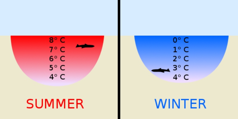 The Variable Density of Water Trivia Quiz