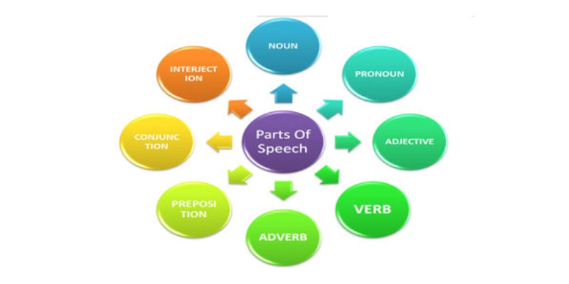 Parts Of Speech Quiz For 6th Grade Students