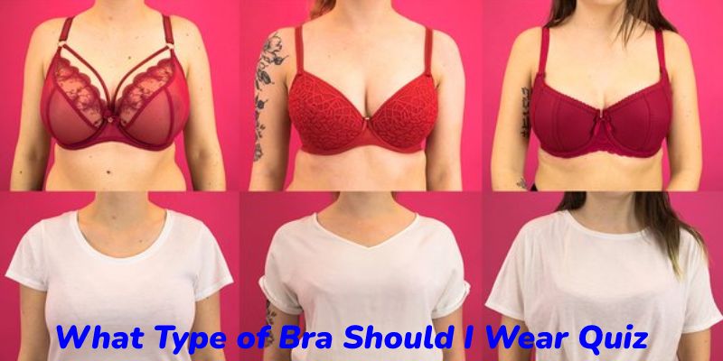 What Type of Bra Should I Wear Quiz