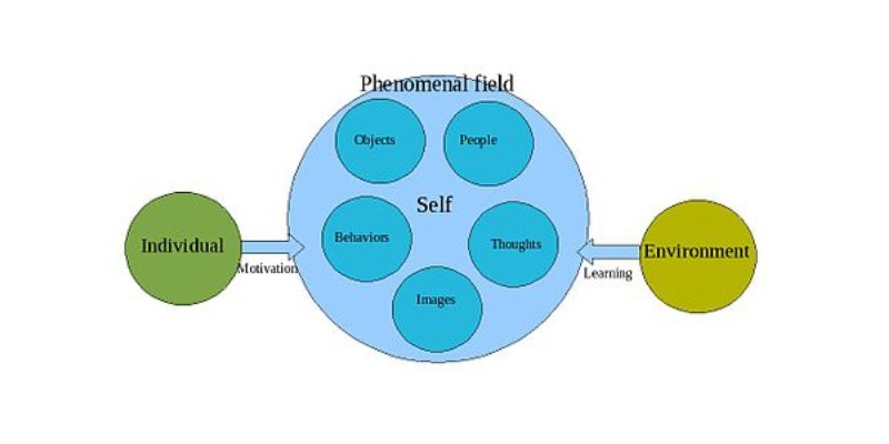 The Field Theory of Learning Quiz! Let's Test Yourself