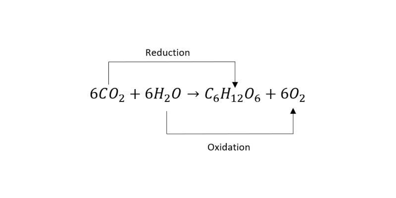 Redox Reactions Quiz Questions with Answers