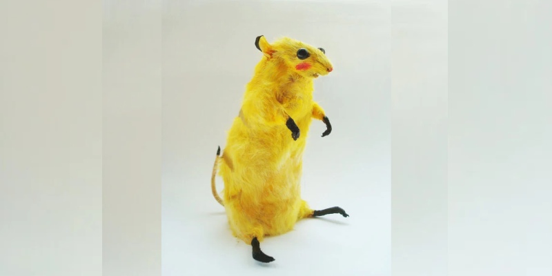 Quiz: What Kind of Taxidermy Rat Are You?