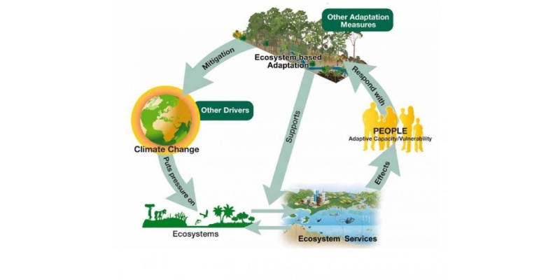 Ecological Adaptations Quiz: How Much You Know About Ecological Adaptations?