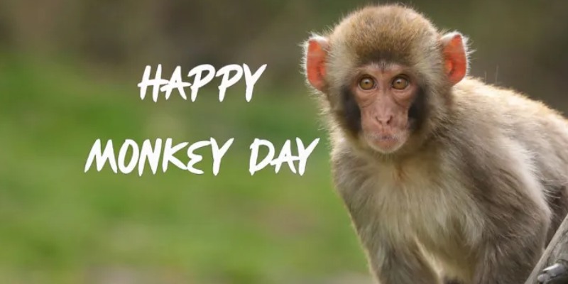 Monkey Day Trivia Quiz
