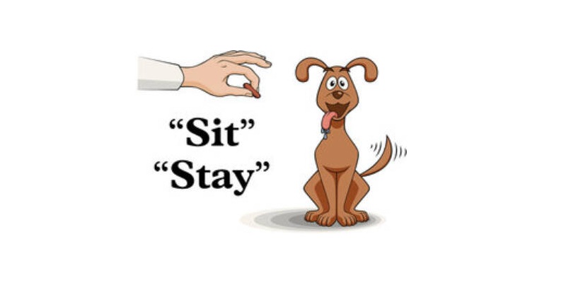 Operant Conditioning Theory Quiz