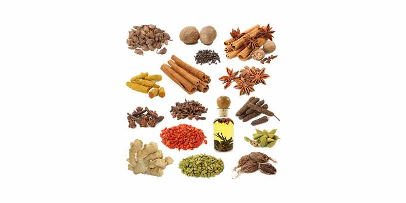 Which state is the largest producer of spices across India?