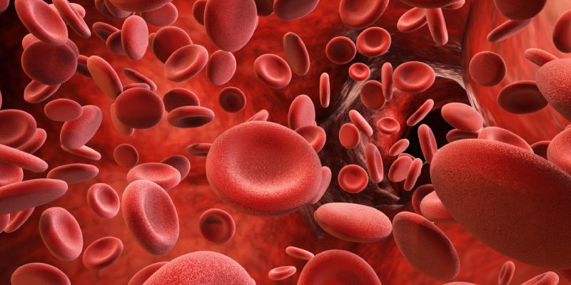 Quiz: Test Your Knowledge About Red Blood Corpuscles