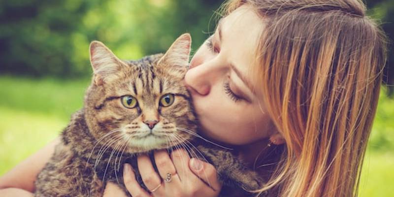 How To Tell If Your Cat Loves You Quiz