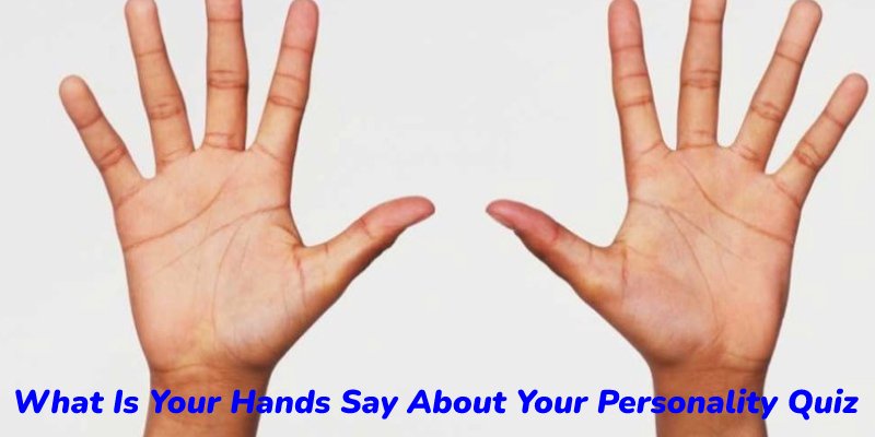 What Is Your Hands Say About Your Personality Quiz