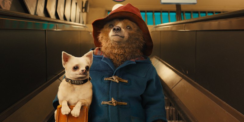 The Ultimate Paddington Trivia Quiz
