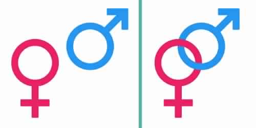 Quiz: What is Your True Gender?