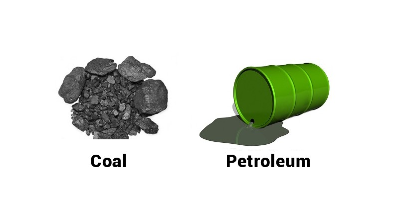 Coal and Petroleum Trivia Quiz For 8th Grade Students