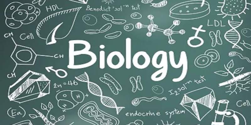 General Biology Trivia Quiz