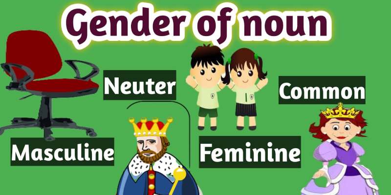  Identifying the Correct Opposite Gender of a Noun Quiz