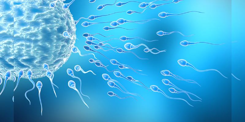 Quiz: Interesting Facts About Infertility
