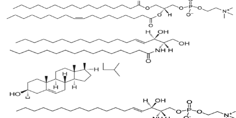 Lipids Or Fats In Biochemistry Quiz