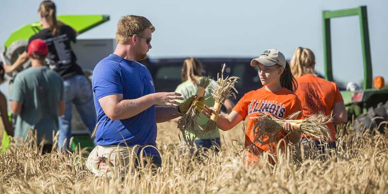 Quiz: How Much You know About Crops And Crop Production?