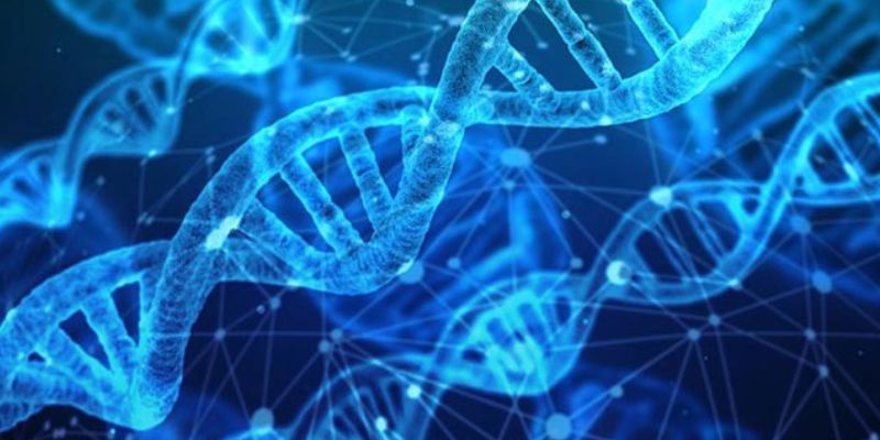 Change In Number Of Chromosome or Genomatic Mutations or Hetero-polyploidy Trivia Quiz