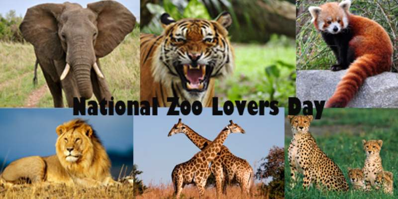 Am I a Dominant or Submissive Personality Quiz