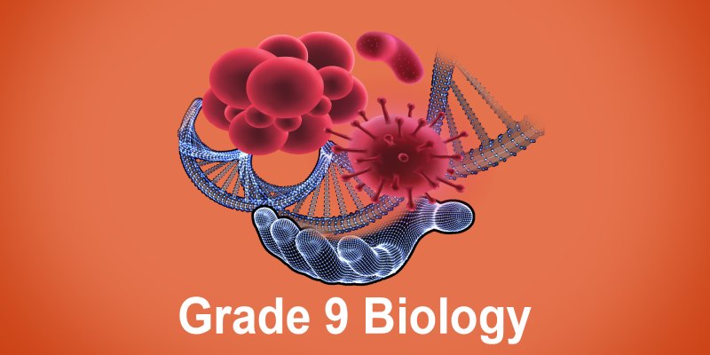 Biology Quiz for 9th Grade Students