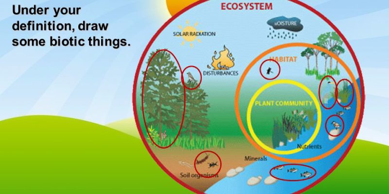 Biotic Factors Quiz: Test Your Knowledge About Biotic Factors of Ecosystem