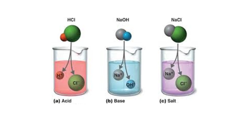 Acids, Bases And Salts Trivia Quiz 7th Grade Students