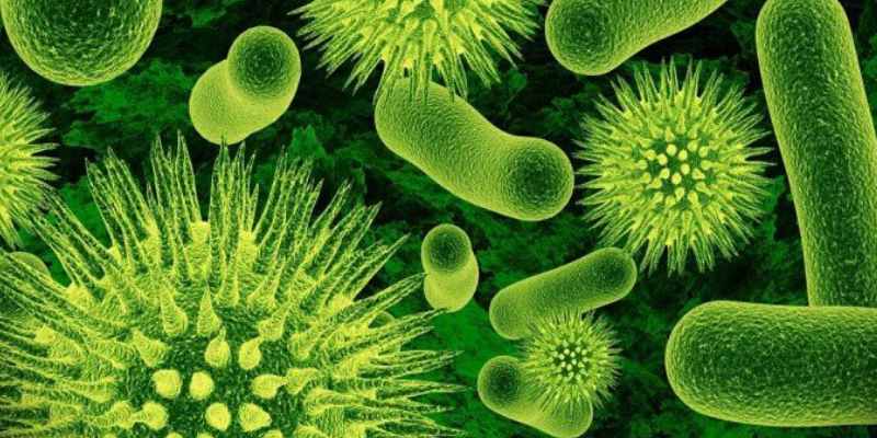 Ultimate Trivia Quiz About Spanish Flu In Virus Disease