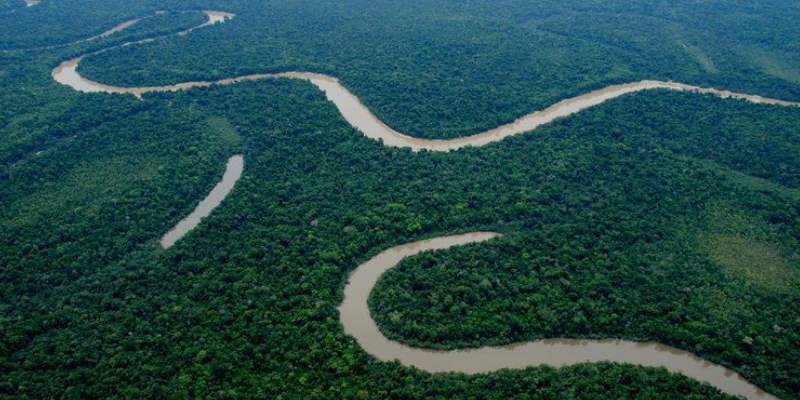 Lungs of Earth Amazon Forest Trivia Quiz! Can You Pass The Test On The Lungs of Earth Amazon Forest?