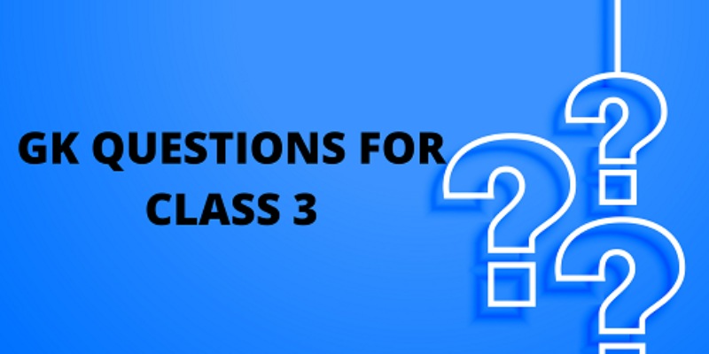 GK Questions Quiz for 3rd Grade Students