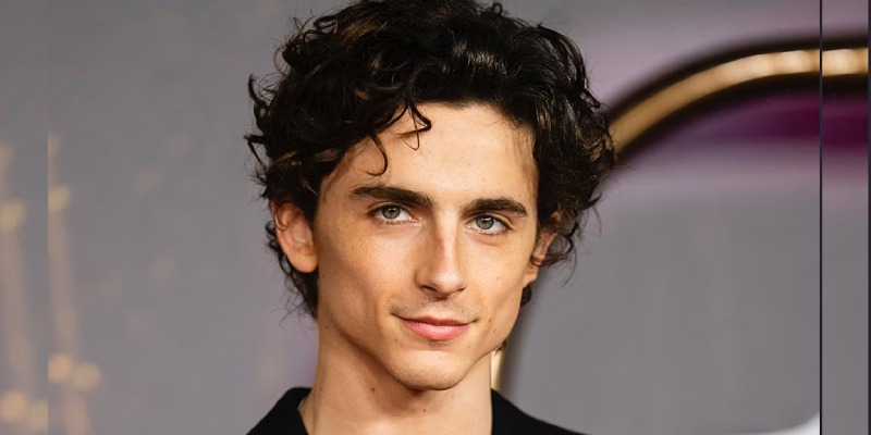 Quiz: Are You a Fan of Timothee Chalamet?