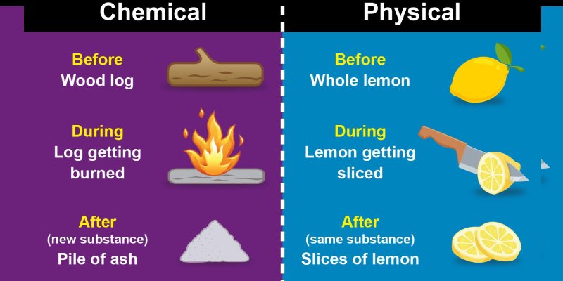 Physical And Chemical Change Trivia Quiz For 7th Grade Students